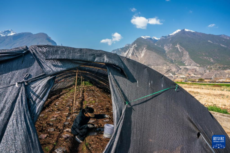 微信图片_20240313140408