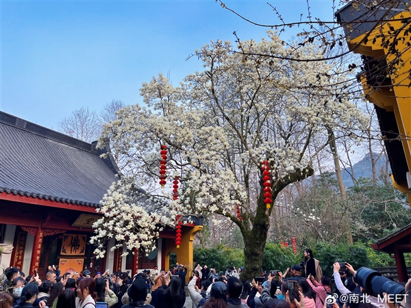 s_682b4635f2f64b8cb712145f069796ad