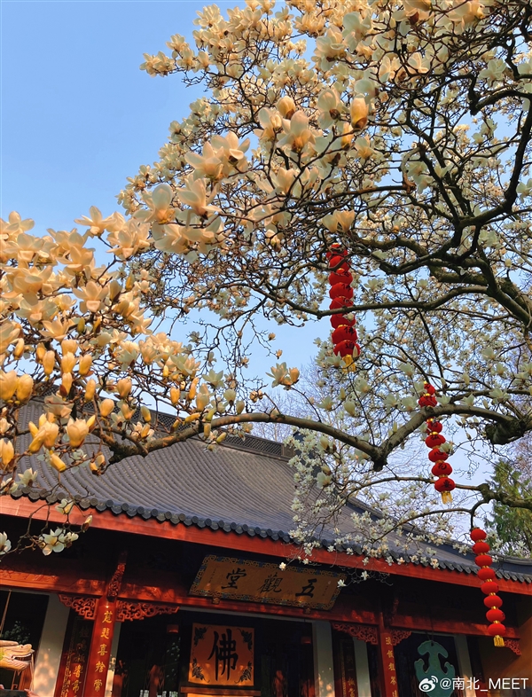 s_e8a10daa56314b18a00552a3e34dc3c3