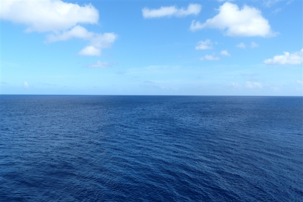 s_4201cf3770854b2a88a69d17545709e8