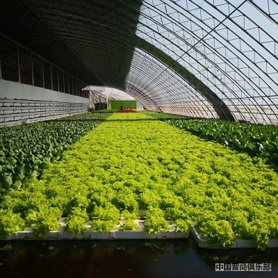 微信图片_20240319112131