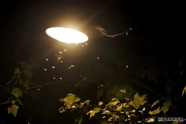 e3e17469-e95e-460f-92e0-2c8dfb64790d