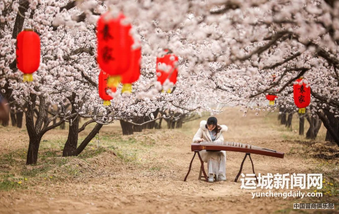 微信截图_20240319143309