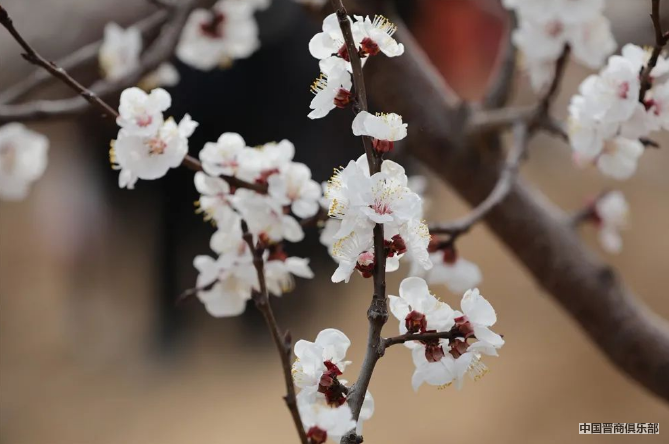 微信截图_20240319143321