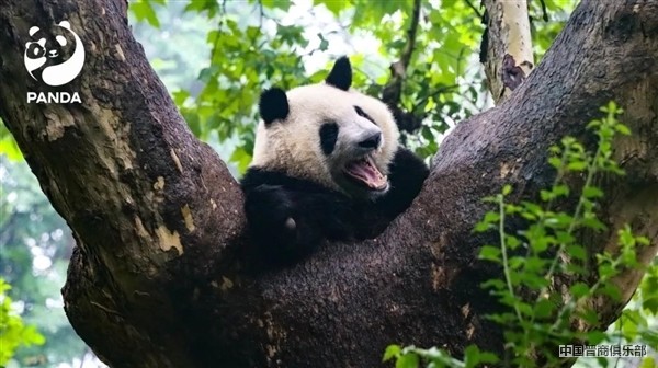 bf0545f5-9145-4a72-97fe-57143fe1d961