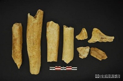 微信图片_20240322173140