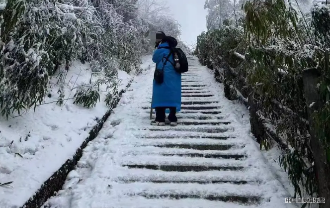 微信截图_20240325091939