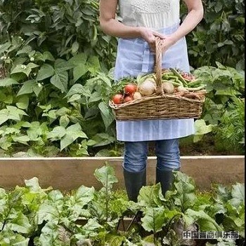 微信图片_20240325162723