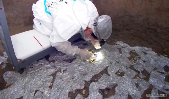 微信截图_20240325163243