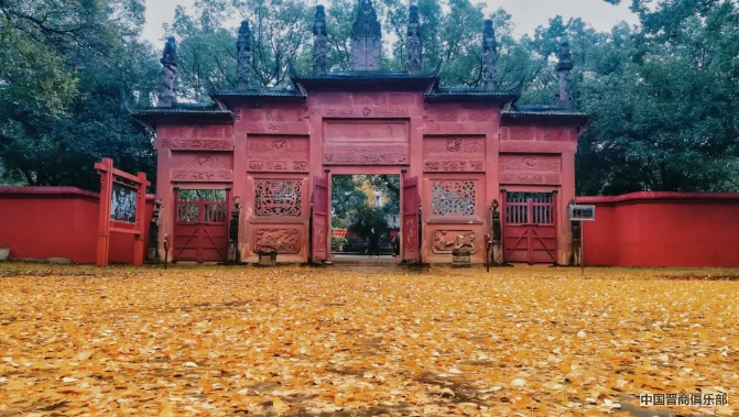 微信截图_20240325163617