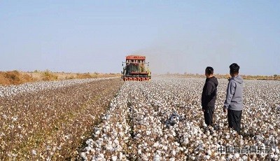 微信图片_20240403110424