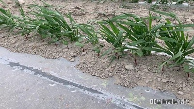 微信图片_20240403110609