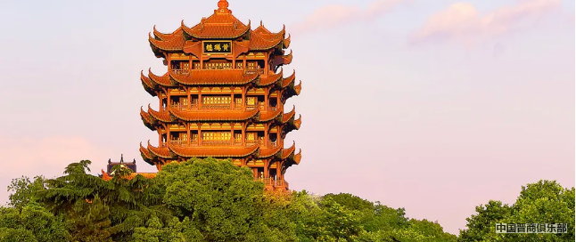 微信截图_20240408095629