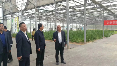 微信截图_20240415162526