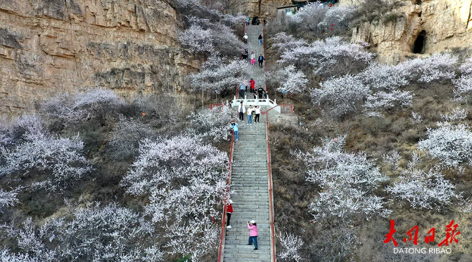 微信截图_20240417151049