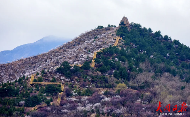 微信截图_20240417151140