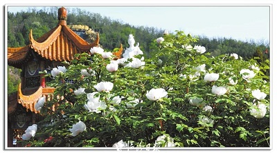 微信图片_20240418100200