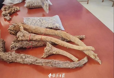 微信图片_20240418101804