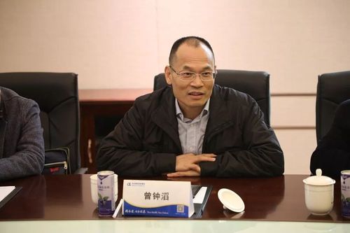 国家税务总局福建省税务局原党委委员、总会计师曾钟滔被查