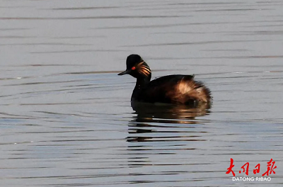 微信截图_20240418180827