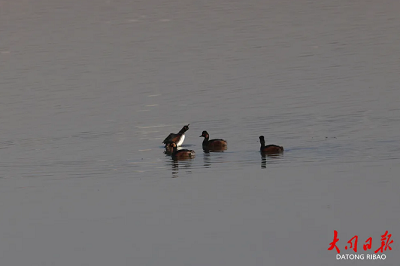 微信截图_20240418180836