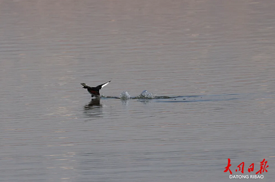 微信截图_20240418180846