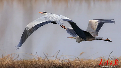 微信截图_20240418180907