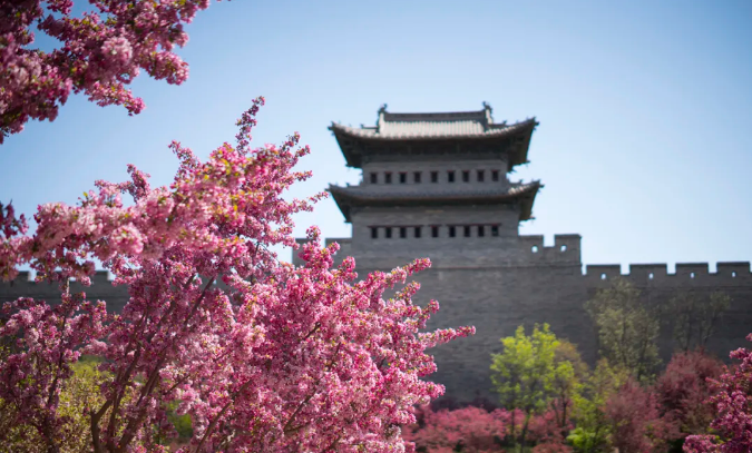 微信截图_20240419151504