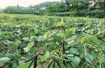 微信图片_20240422144738