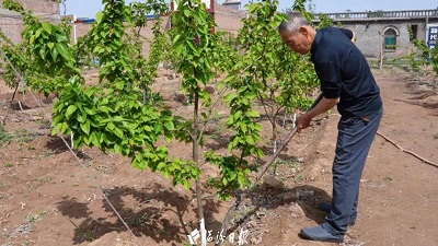 微信图片_20240422185843