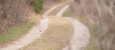 微信图片_20240423093204