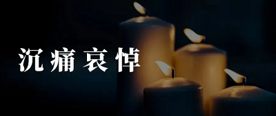 微信截图_20240423095914