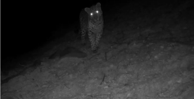 微信截图_20240423152552