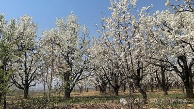 微信图片_20240424103238