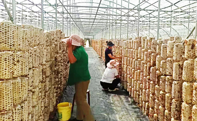 微信截图_20240424154929