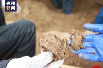 微信截图_20240426095809