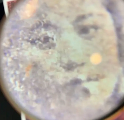 微信截图_20240426095823