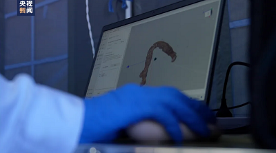 微信截图_20240426095843