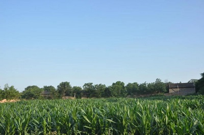 微信图片_20240430155611