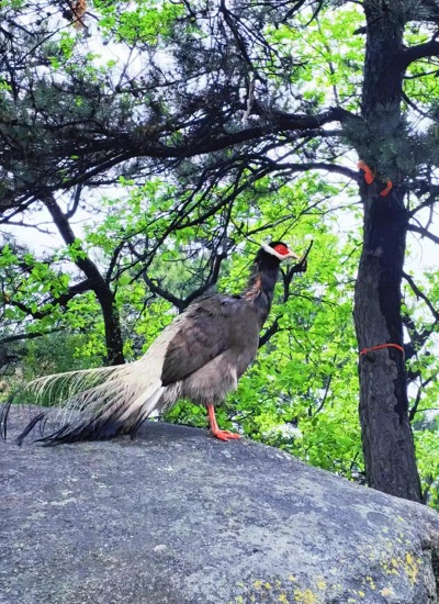 微信图片_20240507153223