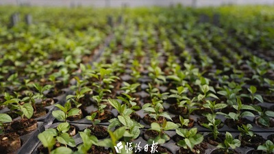 微信图片_20240509112057