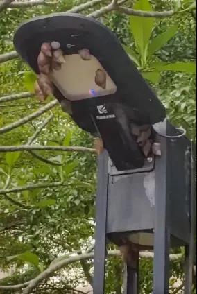 微信图片_20240510162942