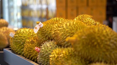 微信图片_20240511145612