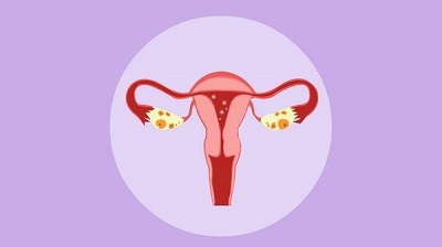 微信图片_20240511155226