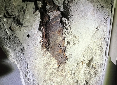 微信截图_20240514155828