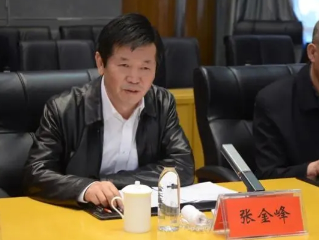 吉林省能源投资集团张金峰