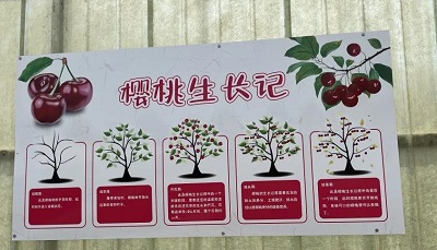 微信图片_20240603155741