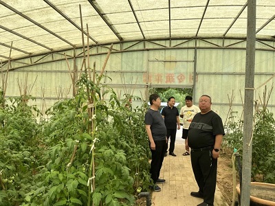 微信图片_20240603155800