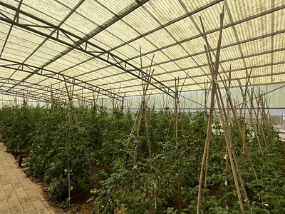 微信图片_20240603155805