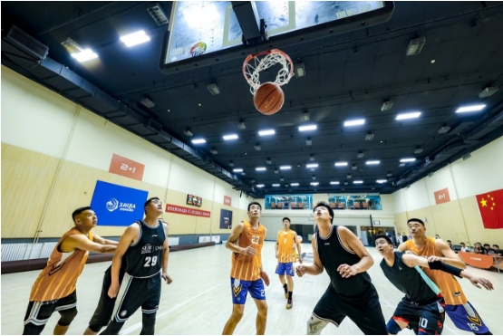 微信截图_20240613161450